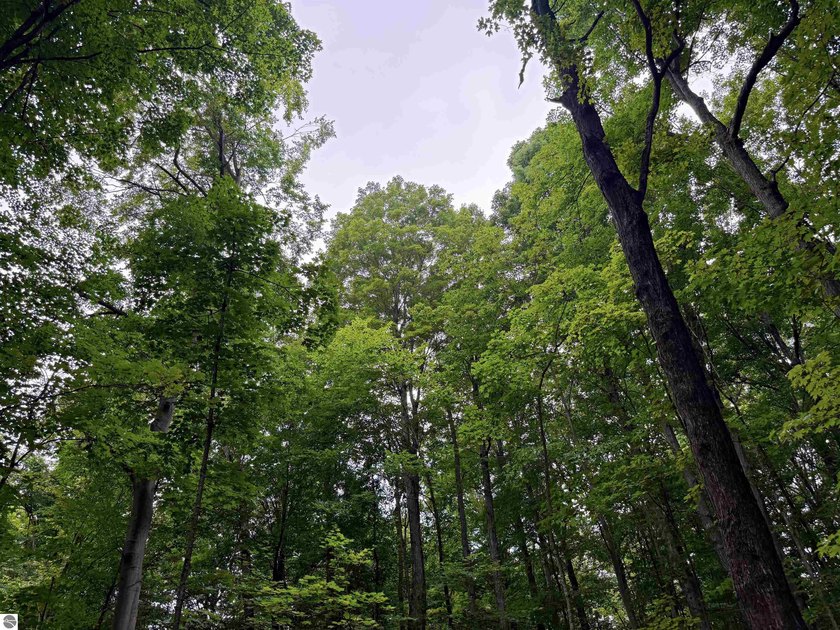 Escape to your own private Northern Michigan retreat with this - photo 50