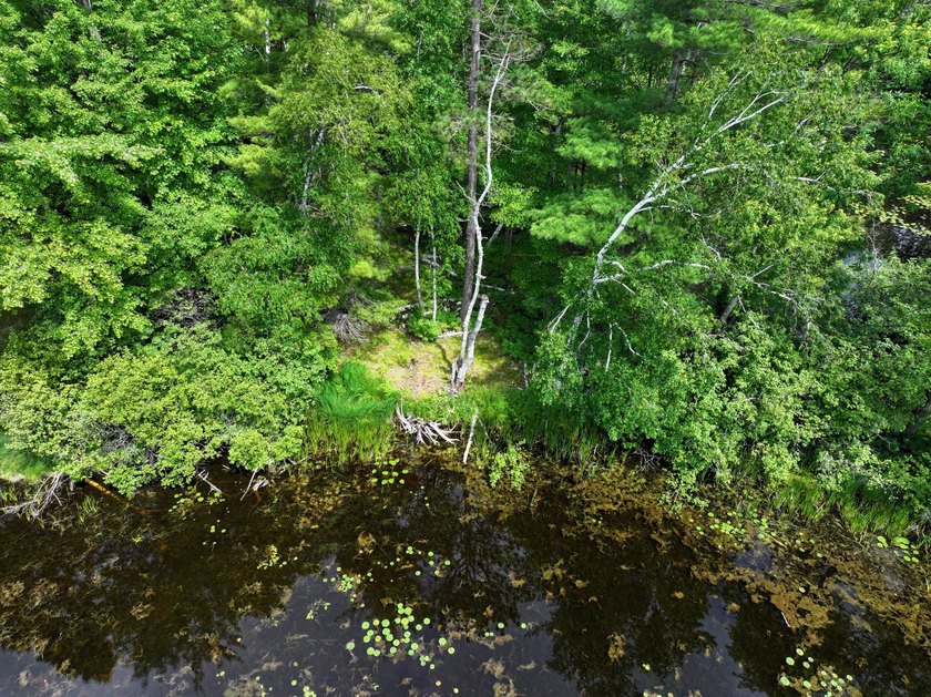 (208/JM) Enjoy Lake Living Without the Lake Price! This cozy - photo 32