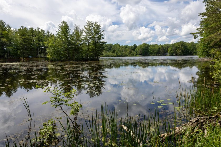 (208/JM) Enjoy Lake Living Without the Lake Price! This cozy - photo 33