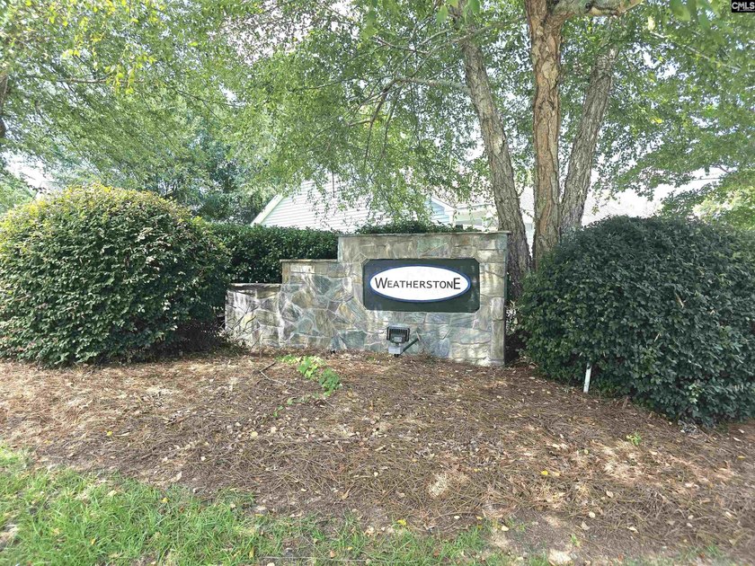 If you've been searching for a home that's truly move in ready - photo 31