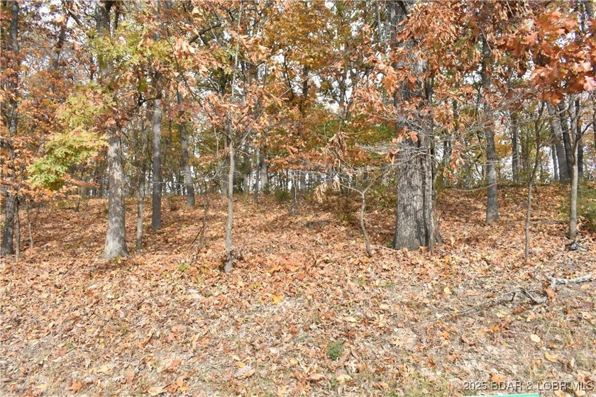Perfect 2nd tier lot with seasonal lakeviews and just around the - photo 4