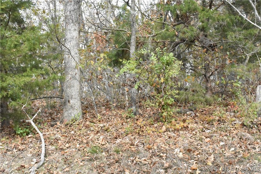 Perfect 2nd tier lot with seasonal lakeviews and just around the - photo 3