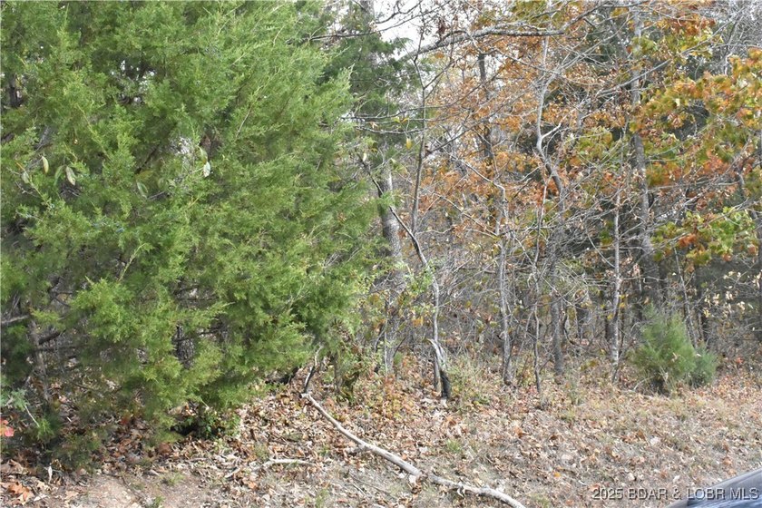 Perfect 2nd tier lot with seasonal lakeviews and just around the - photo 4