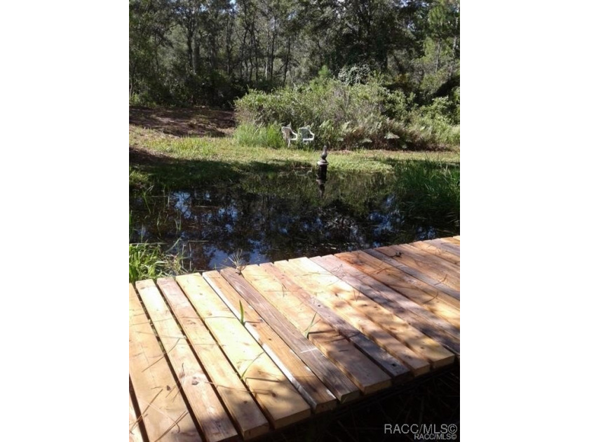 Explore the Untamed Beauty and Opportunity of Florida's Nature - photo 12