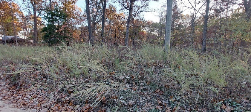 Here is your chance to own a spacious vacant lot with tremendous - photo 4