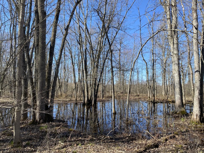 As the crow flies, this 37.5-acre property is approximately 1/4 - photo 11