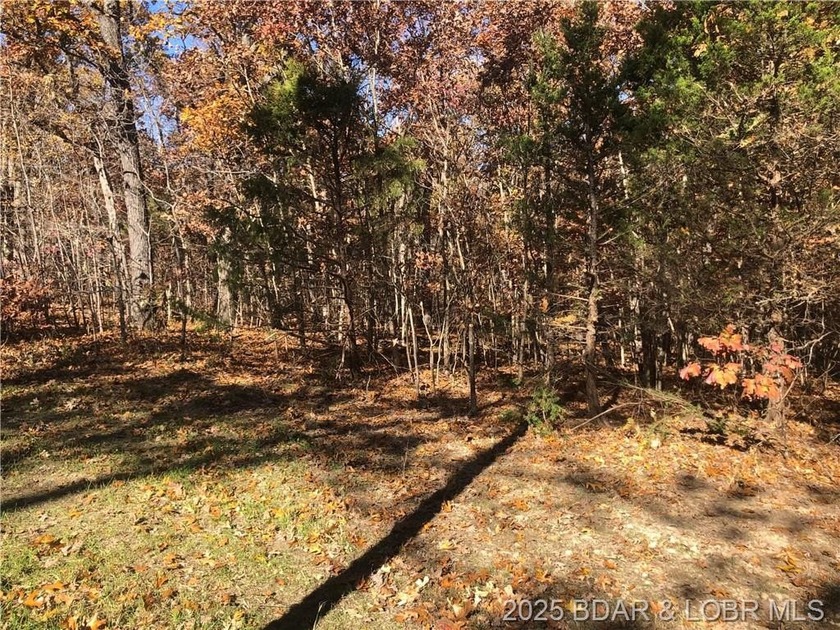 This 4.9 acres offers a great location to build that dream house - photo 2