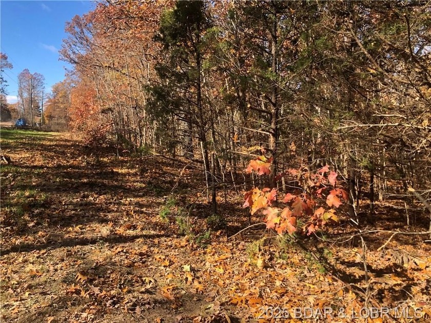 This 4.9 acres offers a great location to build that dream house - photo 4