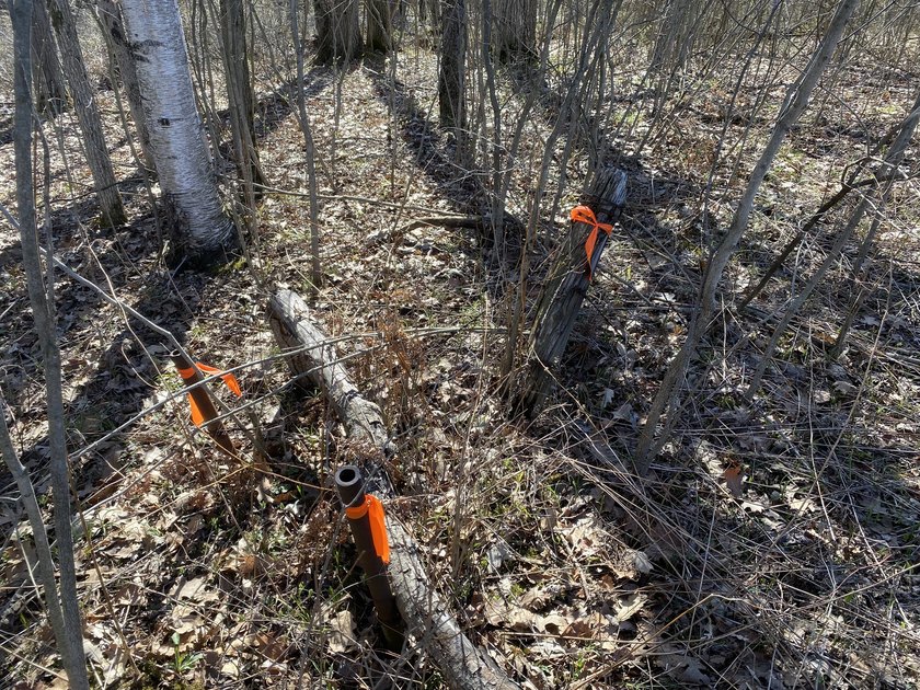 As the crow flies, this 37.5-acre property is approximately 1/4 - photo 25