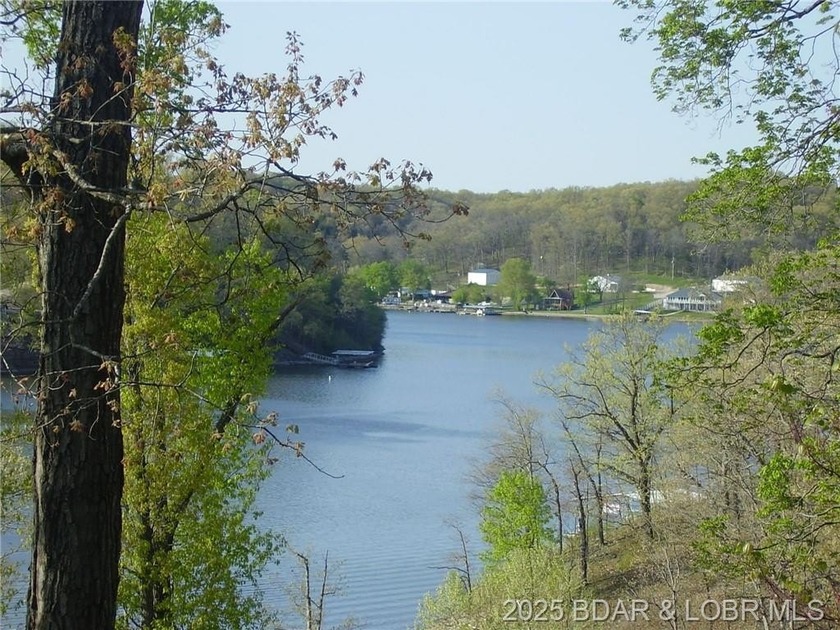 Nice Lake View Building Lot. Utilities above and below the Lot - photo 4