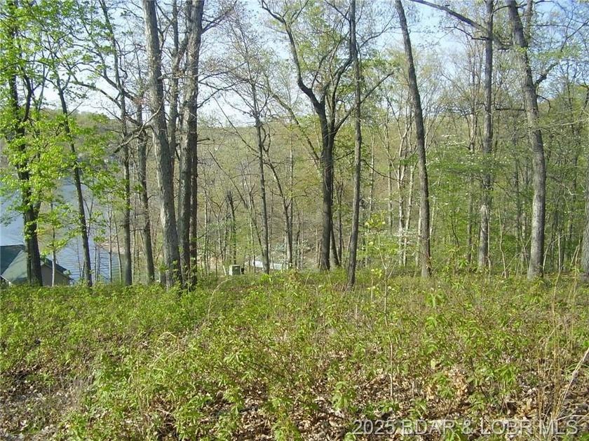 Nice Lake View Building Lot. Utilities above and below the Lot - photo 5