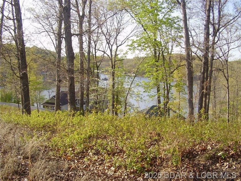 Nice Lake View Building Lot. Utilities above and below the Lot - photo 6
