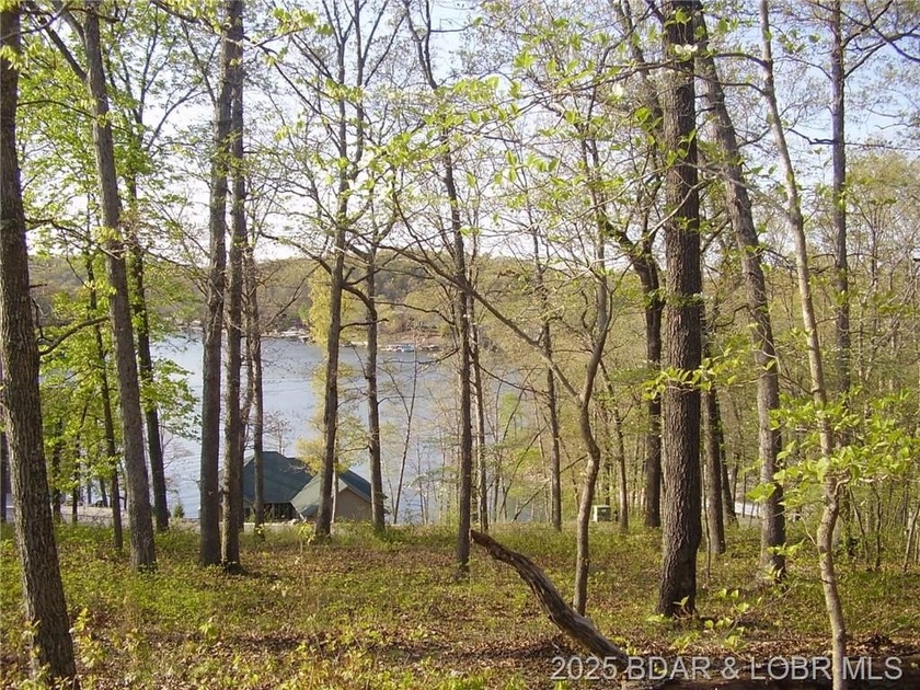 Nice Lake View Building Lot. Utilities above and below the Lot - photo 7