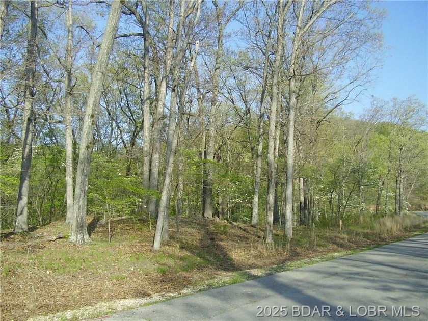 Nice Lake View Building Lot. Utilities above and below the Lot - photo 8