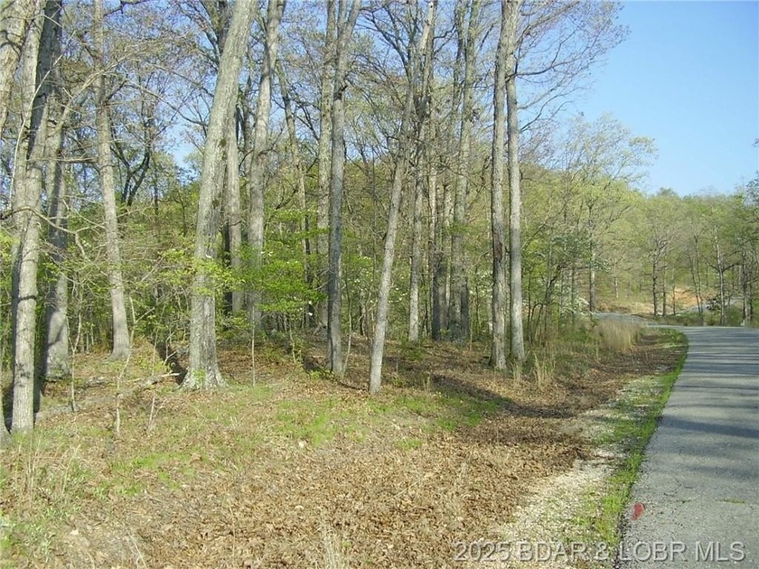 Nice Lake View Building Lot. Utilities above and below the Lot - photo 9