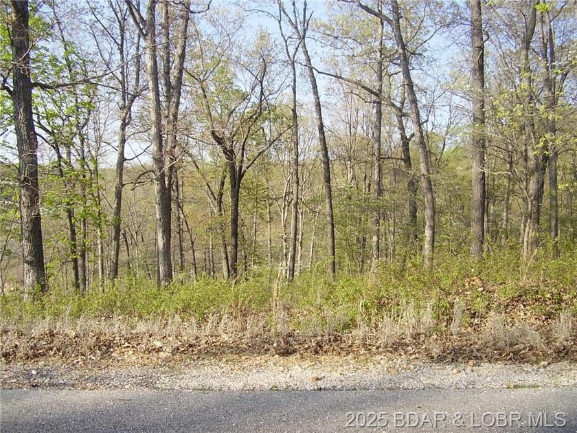 Nice Lake View Building Lot. Utilities above and below the Lot - photo 10