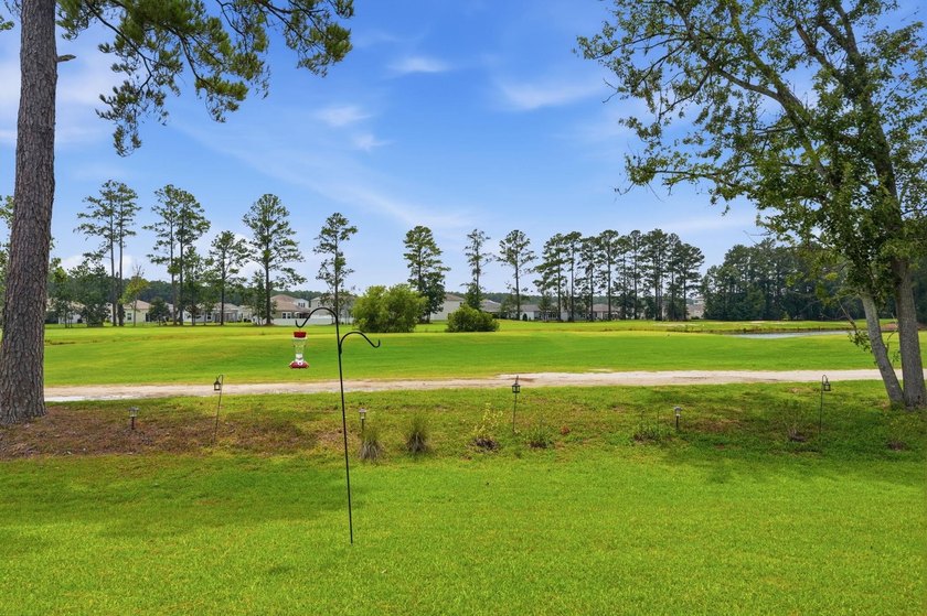 This Cali plan home at 143 Marauder Dr sits on a larger lot - photo 35