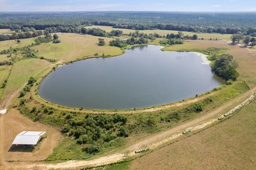 An 8.78-acre stunning lake front lot that's mostly cleared with - photo 3