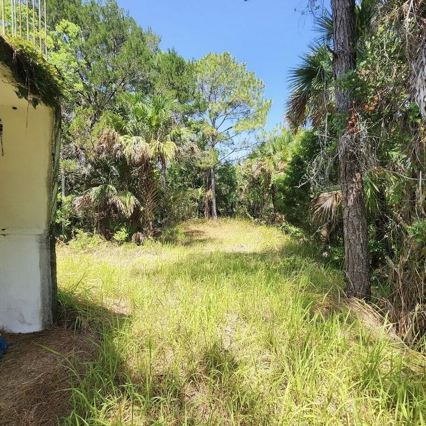 CASH ONLY no owner financing. Taking the simple life outdoors! - photo 10