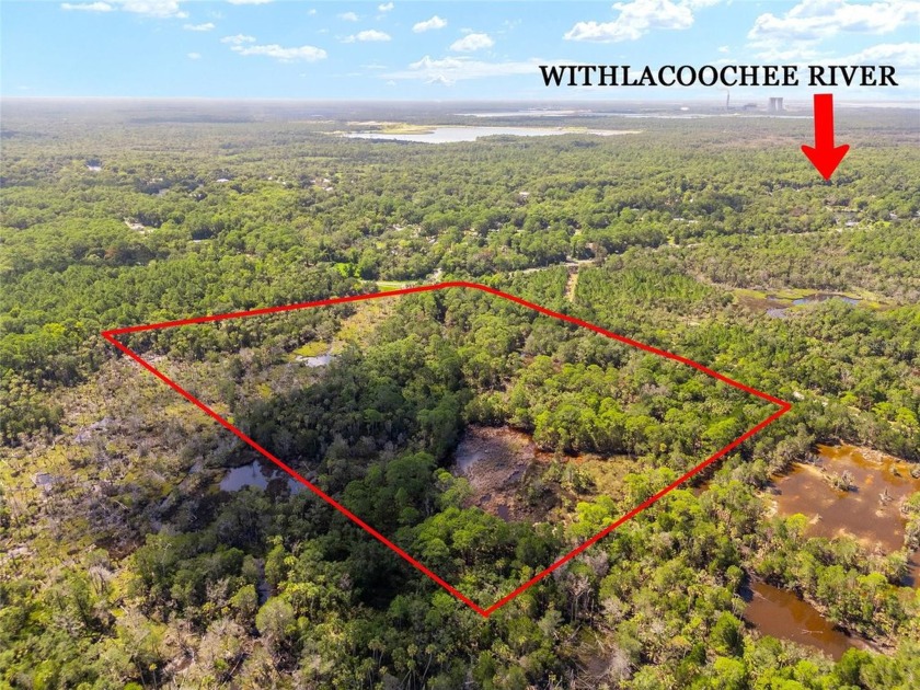 24.75 Acres in City of Yankeetown, FL offers road frontage on 2 - photo 8