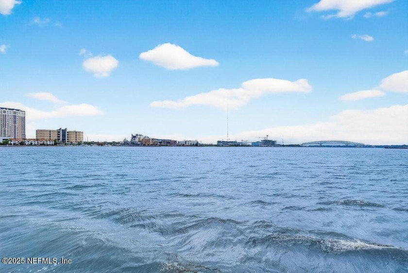 Luxury Riverfront Condominium with Stunning Views &amp; High-End - photo 31