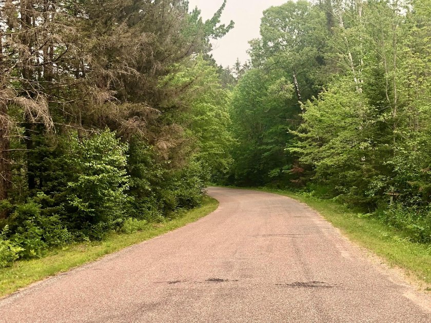 Discover 28 acres of pristine Northwoods beauty on Morton Lake - photo 11