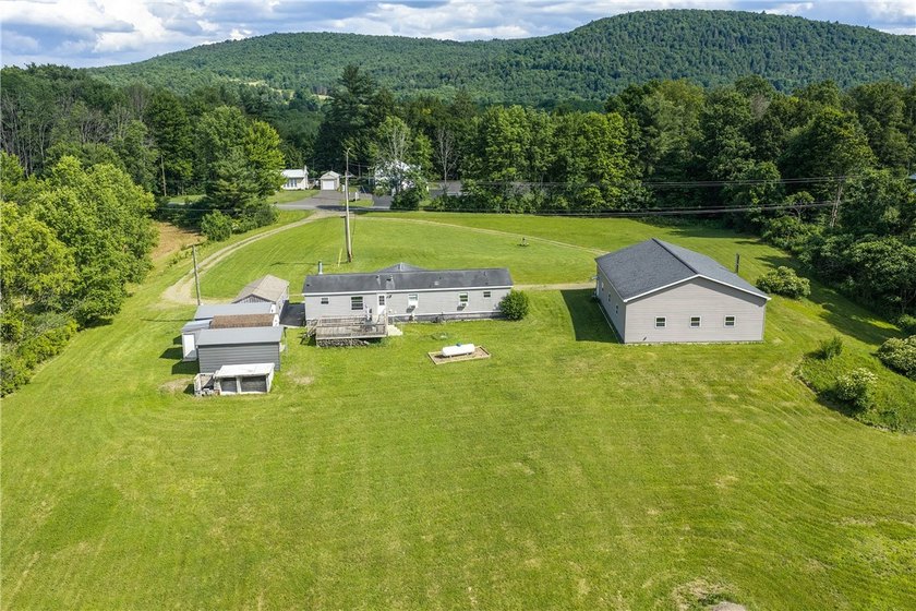Forty-three acres on the Susquehanna River in Otego-Unadilla, NY - photo 46