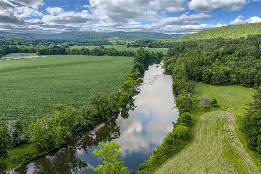 Forty-three acres on the Susquehanna River in Otego-Unadilla, NY - photo 47