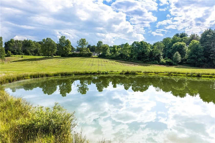 Forty-three acres on the Susquehanna River in Otego-Unadilla, NY - photo 48