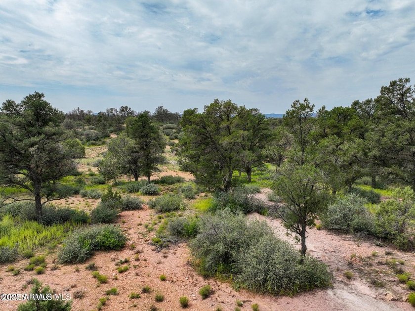 2.12 Acres - 3 wells, 1 puts out water at 7 gpm, 1 is capped - photo 4