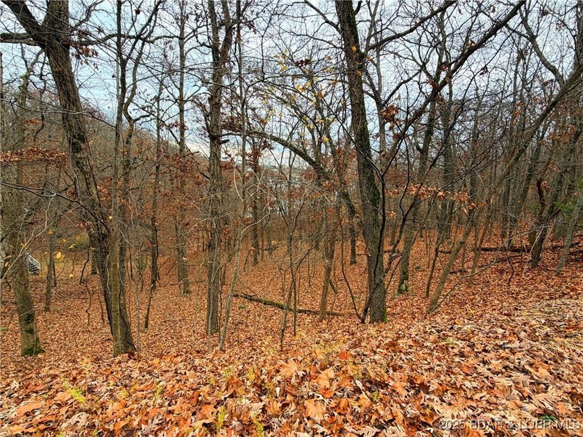 Feels like lakefront without the price! Spacious Lake view lot - photo 5