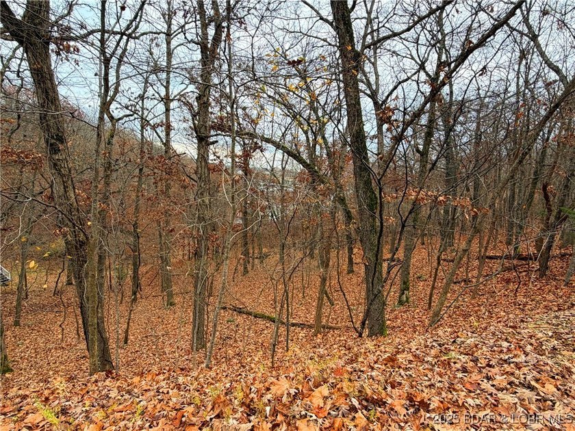 Feels like lakefront without the price! Spacious Lake view lot - photo 6