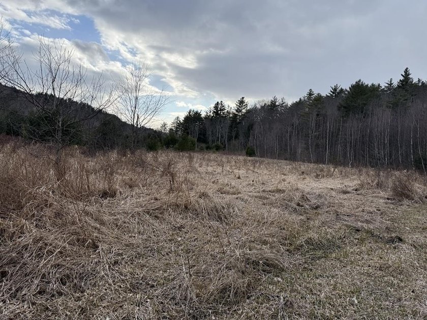 How about 10.86 acres in current use with the Eastman Brook - photo 5
