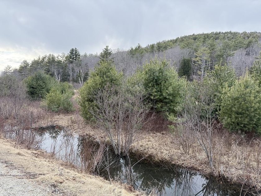 How about 10.86 acres in current use with the Eastman Brook - photo 9