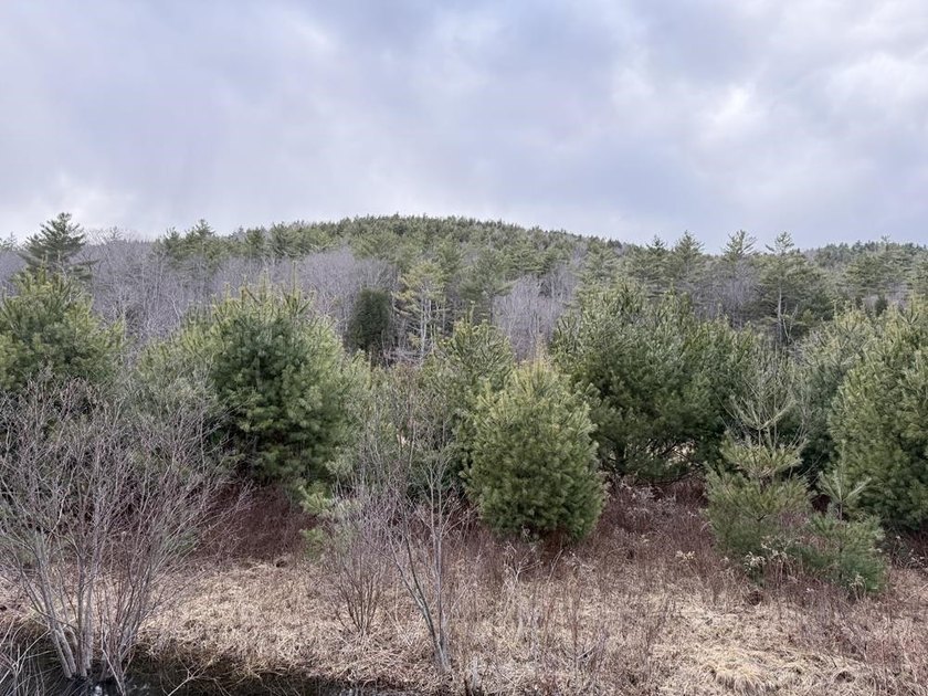 How about 10.86 acres in current use with the Eastman Brook - photo 10