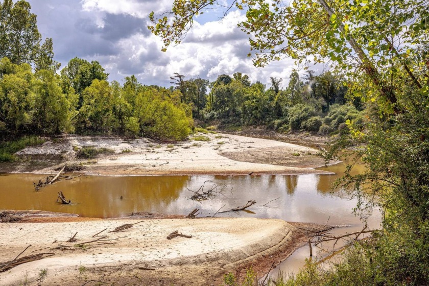 Imagine owning more than a mile of Big Black River frontage in - photo 2