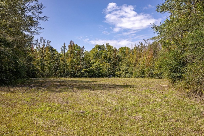Imagine owning more than a mile of Big Black River frontage in - photo 3