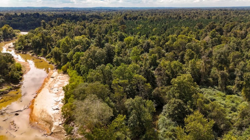 Imagine owning more than a mile of Big Black River frontage in - photo 6