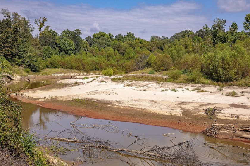 Imagine owning more than a mile of Big Black River frontage in - photo 7
