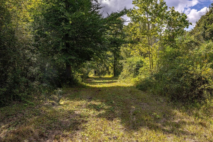 Imagine owning more than a mile of Big Black River frontage in - photo 8