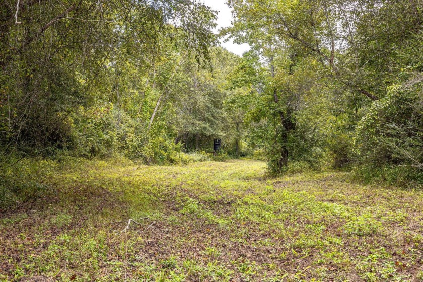 Imagine owning more than a mile of Big Black River frontage in - photo 10