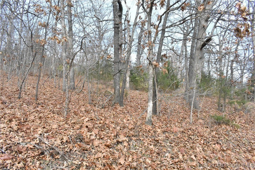 Great opportunity to own an in-town building lot in the growing - photo 3