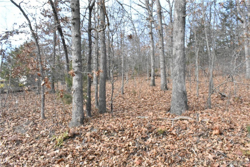 Great opportunity to own an in-town building lot in the growing - photo 4