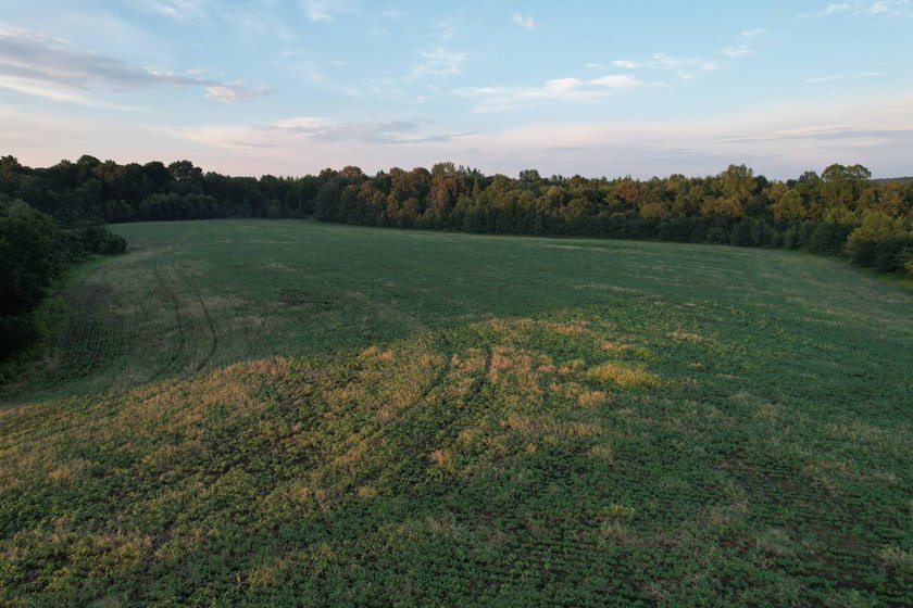 If you've been searching for a premier Southern Illinois hunting - photo 6