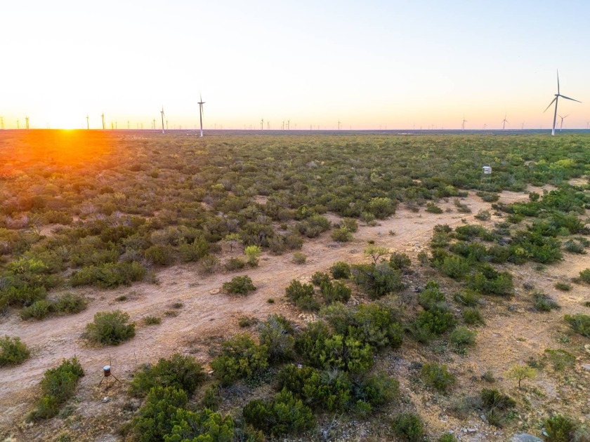 Introducing the Sendero Crossing Ranch, a 657 +/- acre hunting - photo 6