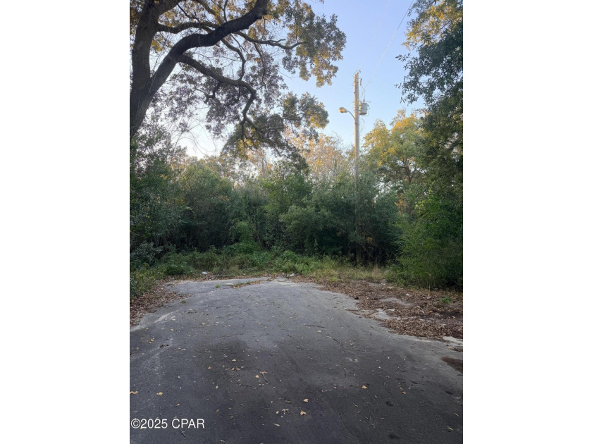 Lot zoned for Single Family Residential and is located in Panama - photo 4