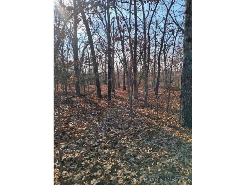 Looking for some peace and quiet, but don't want to live way out - photo 5