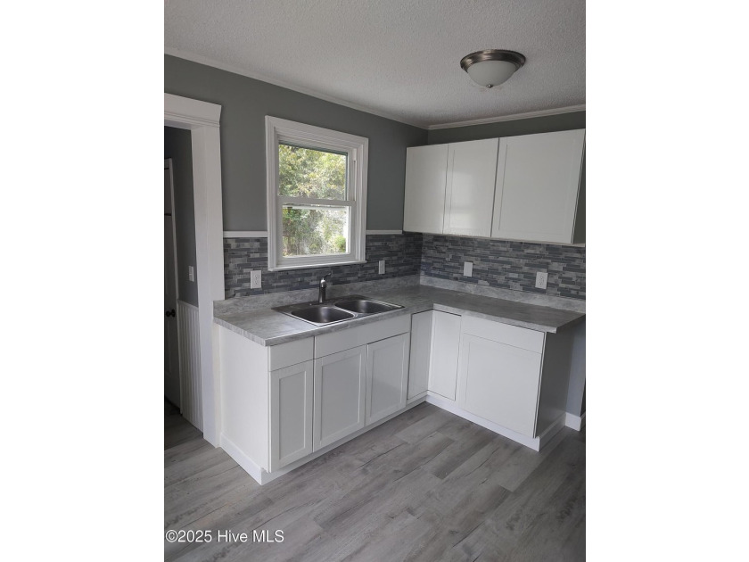 Recently renovated 3 bedroom home. New kitchen, bath, and Roof! - photo 10