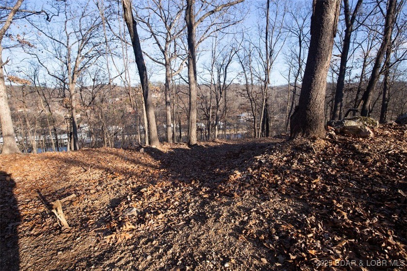 A great lot with a lake view on a cul-de-sac and all of the - photo 3
