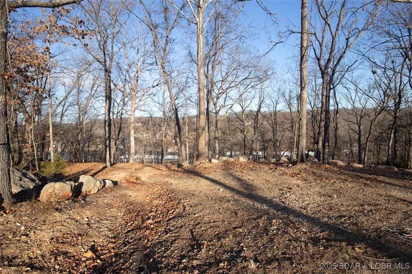 A great lot with a lake view on a cul-de-sac and all of the - photo 4
